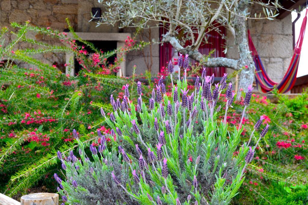 Carya Tallaya - Casas De Campo Vale das Éguas Exteriör bild