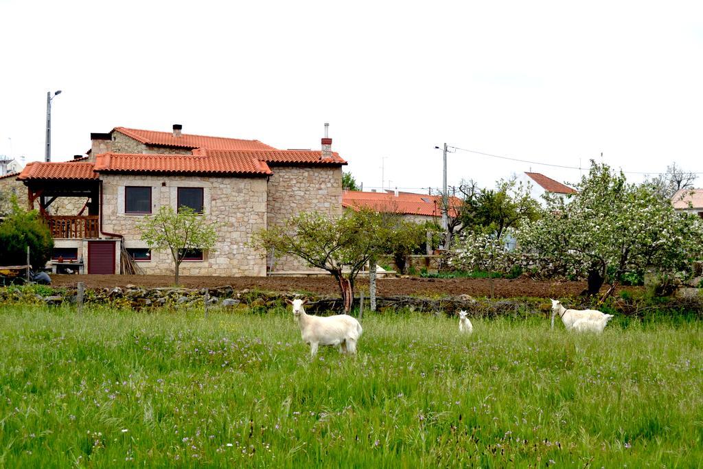 Carya Tallaya - Casas De Campo Vale das Éguas Exteriör bild